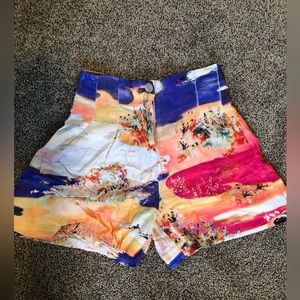 ARITZIA Shorts